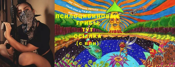 mix Белокуриха