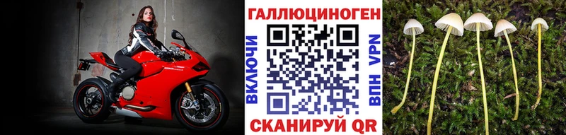 Галлюциногенные грибы MAGIC MUSHROOMS  Звенигово 