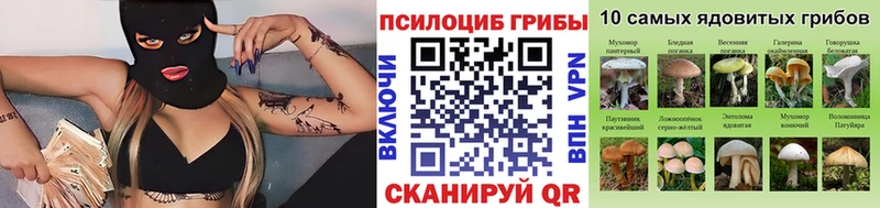 Псилоцибиновые грибы прущие грибы Звенигово